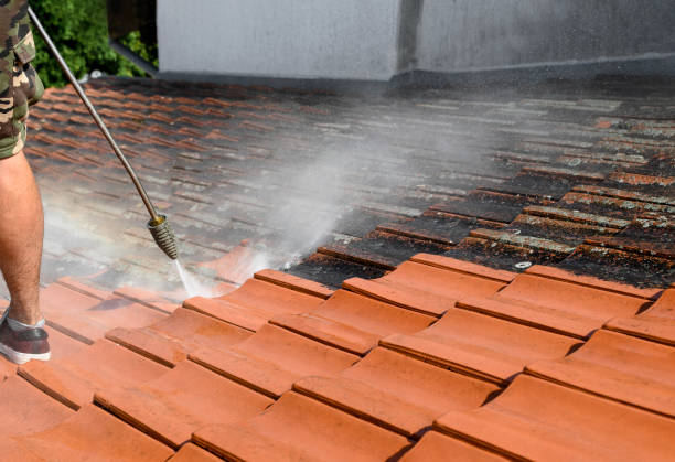 Best Power Washing Near Me  in Delta, CO