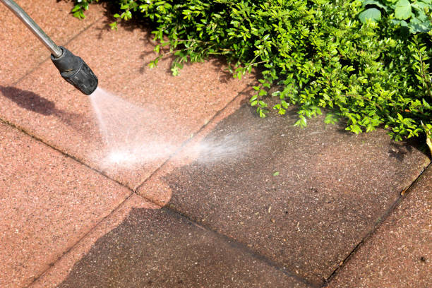 Best Pressure Washing Contractors  in Delta, CO