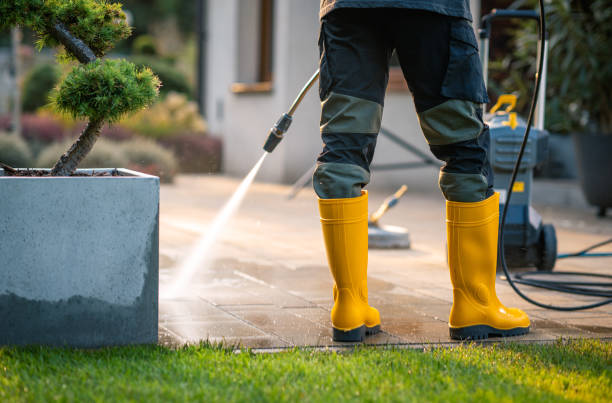Best Pressure Washing Company Near Me  in Delta, CO